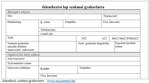Jelentkezési lap minta szakmai gyakorlatra